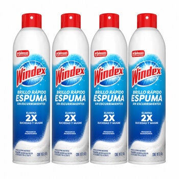 Windex Espuma Limpiavidrios 4 pzas de 538 g Windex Espuma Limpiavidrios 4 pzas de 538 g