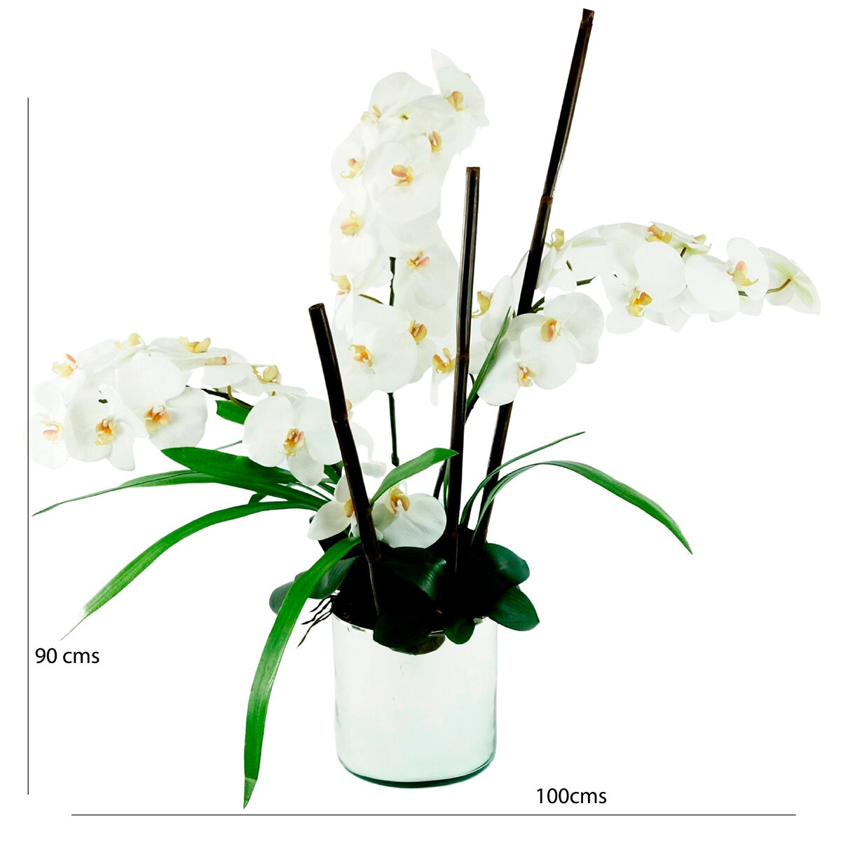 Composición de orquídeas naturales y helechos.🥰 $5,700.00 c/u Consulta por  asesoría personalizada para lograr arreglos perfectos. …