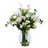 CG Hunter, Arreglo de Alcatraces de Aspecto Natural CG Hunter, Arreglo de Alcatraces de Aspecto Natural