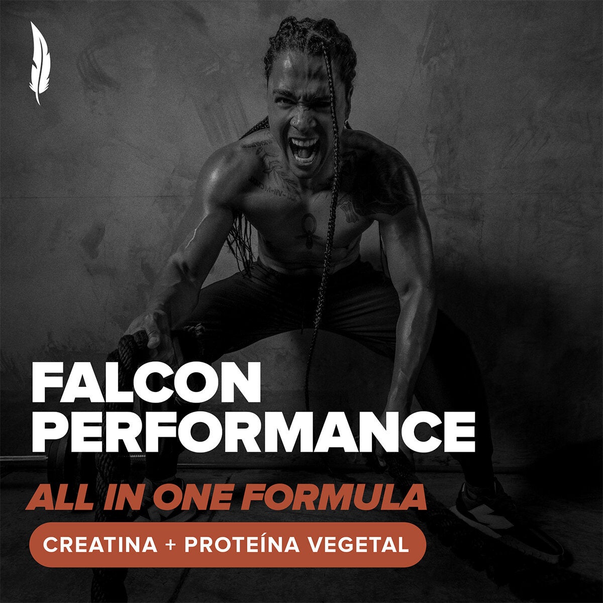 Birdman Falcon Performance Proteína Vegetal Sabor Chocolate 2.1 kg Birdman Falcon Performance Proteína Vegetal Sabor Chocolate 2.1 kg