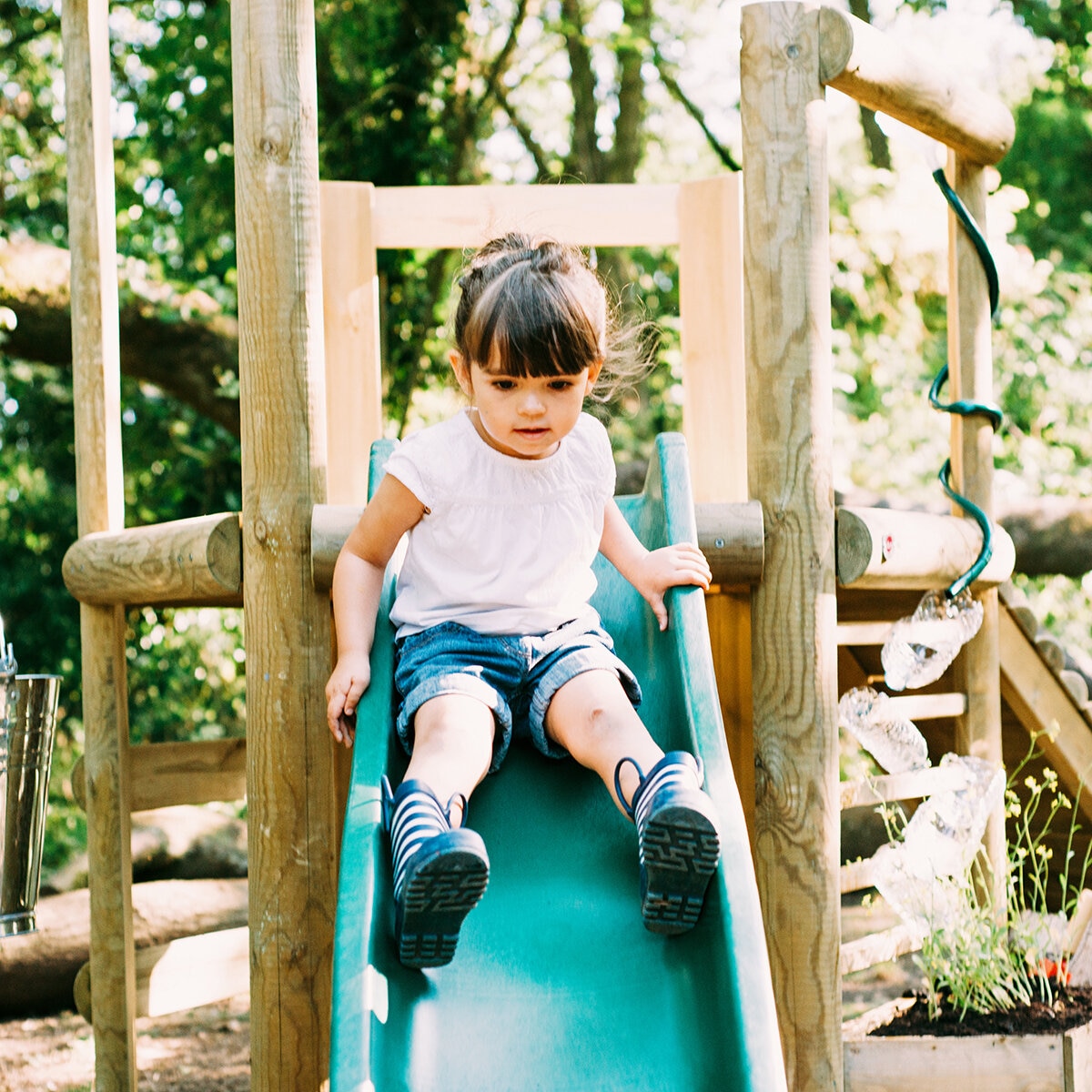 Plum Casa del Árbol Woodland Plum Casa del Árbol Woodland