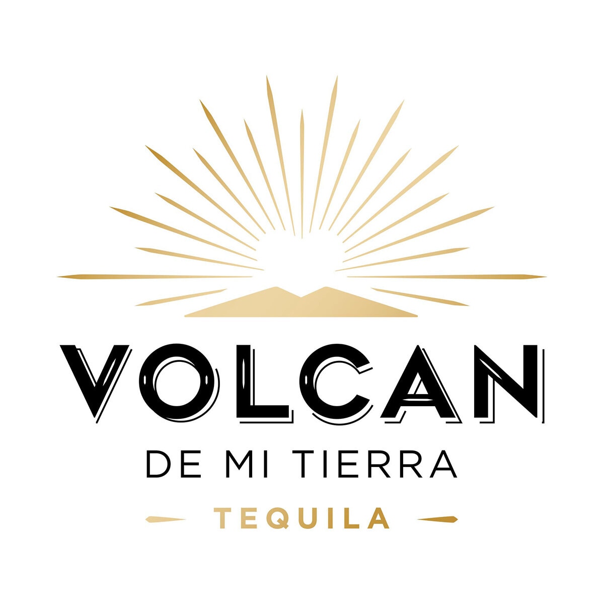 Tequila Volcán de Mi Tierra Reposado 750ml