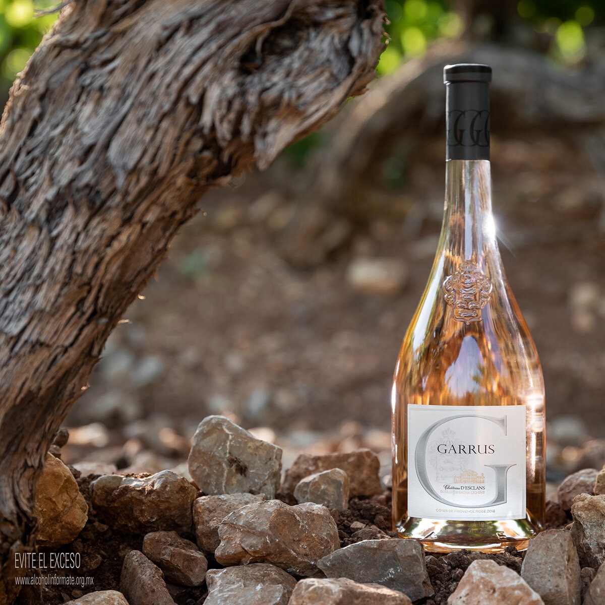 Chateau d'Esclans Garrus Rose 2019 (750 ml)