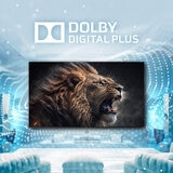 TCL Pantalla 55" 4K UHD Google TV TCL Pantalla 55" 4K UHD Google TV