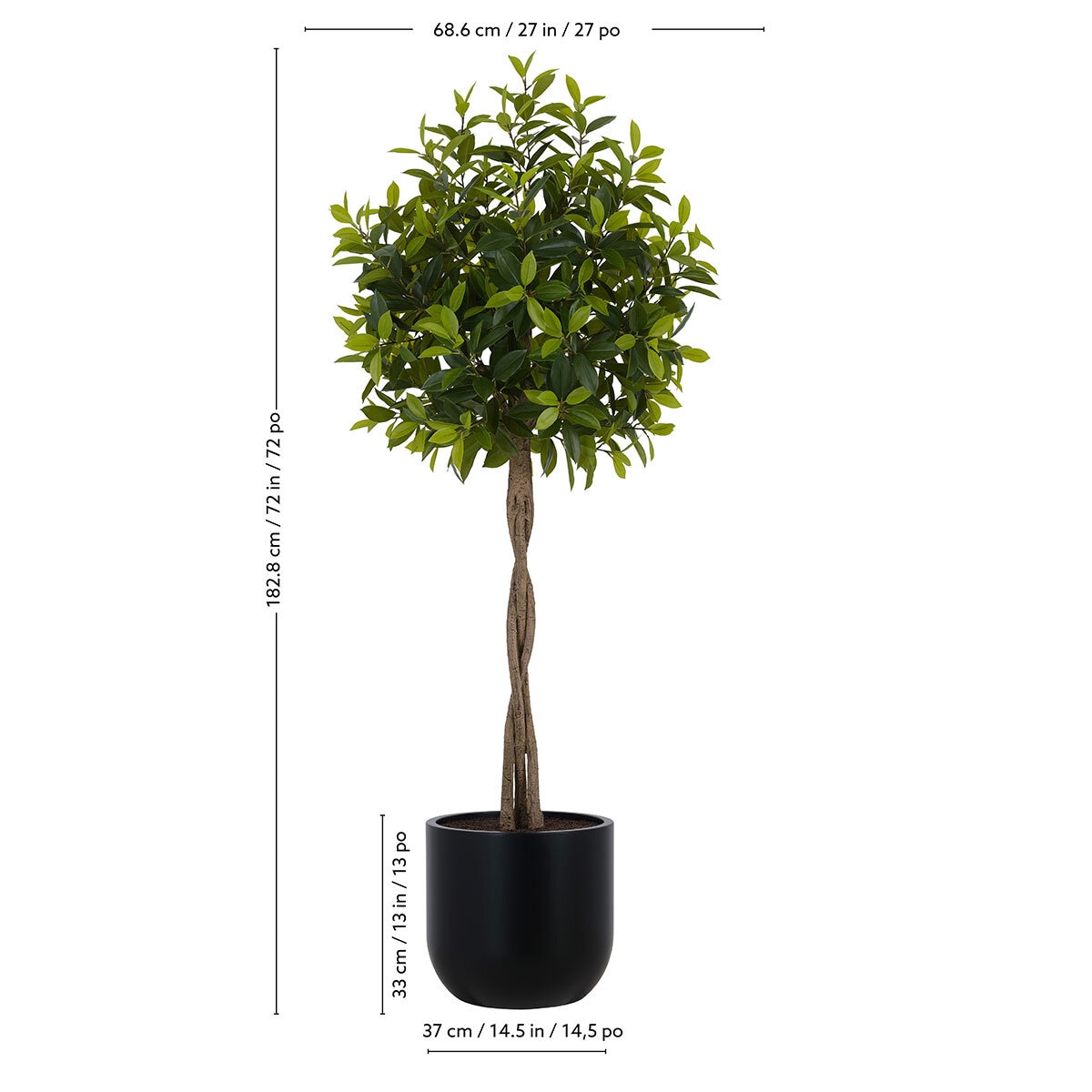 CG Hunter, Árbol de Laurel de Aspecto Natural