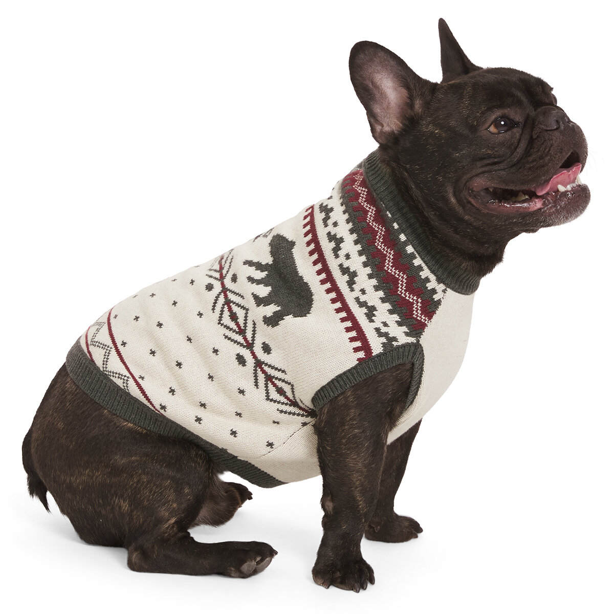 Lands' End Suéter Navideño Familiar para Mascota Varias Tallas y Colores