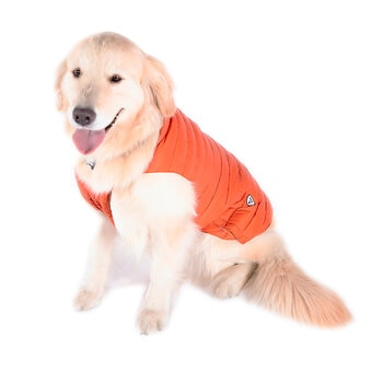 Shyla, Chaleco Capitonado para Perro Color Naranja, Varias Tallas