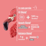 Birdman Fitmingo Proteína Vegetal Sabor Moka 1.496 kg Birdman Fitmingo Proteína Vegetal Sabor Moka 1.496 kg