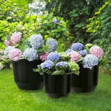 B&C, Set de Macetas Denzel 3 pzs. B&C, Set de Macetas Denzel 3 pzs.