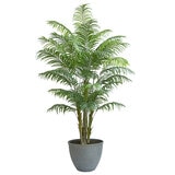 CG Hunter, Palmera de Aspecto Natural