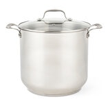 T-fal Olla de Acero Inoxidable con Tapa 15.14 Litros