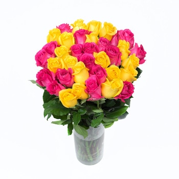 Bouquet de 36 rosas color fucsia y amarillo Bouquet de 36 rosas color fucsia y amarillo