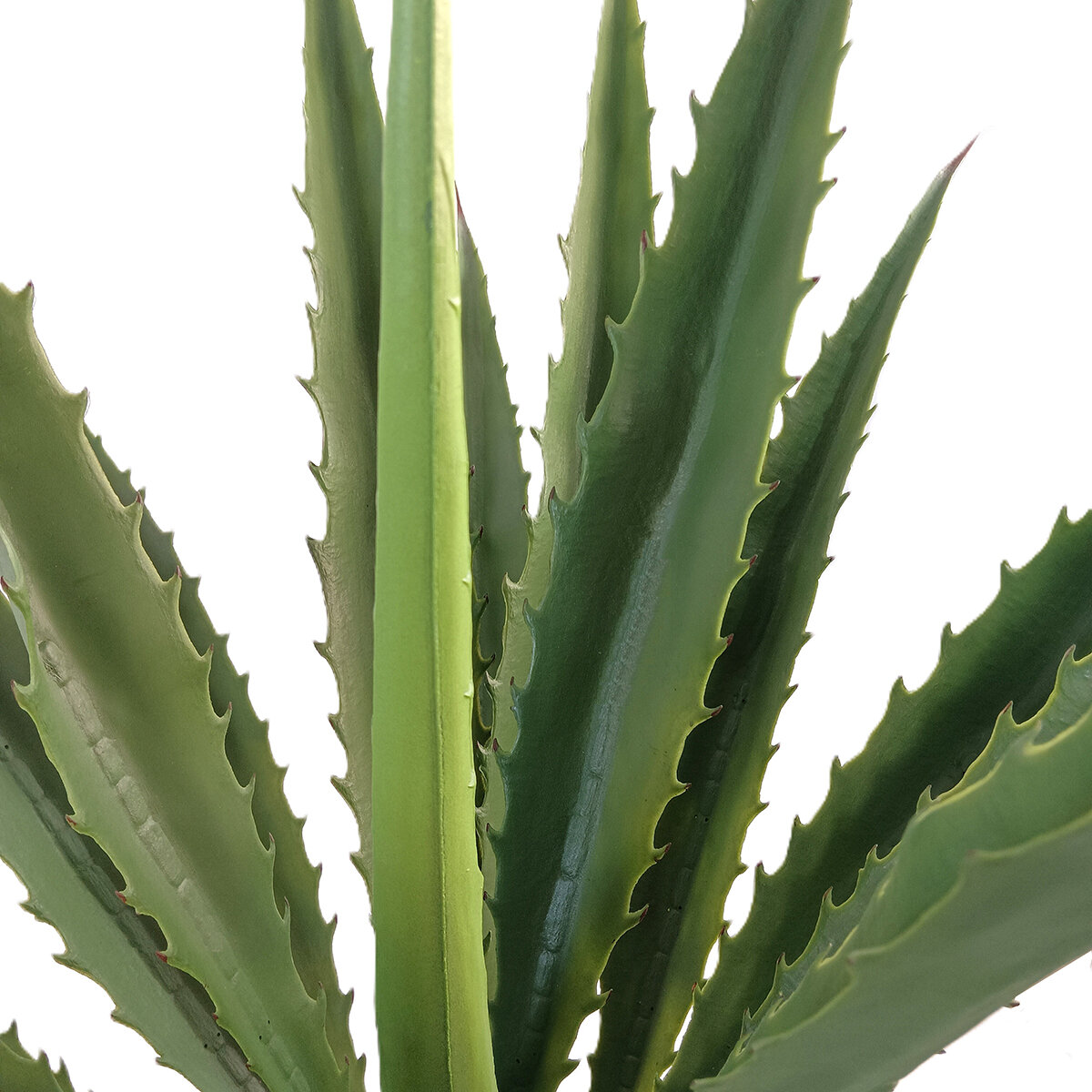 CG Hunter, Agave Artificial CG Hunter, Agave Artificial