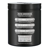 Creatina Monohidratada Birdman 600 g Creatina Monohidratada Birdman 600 g