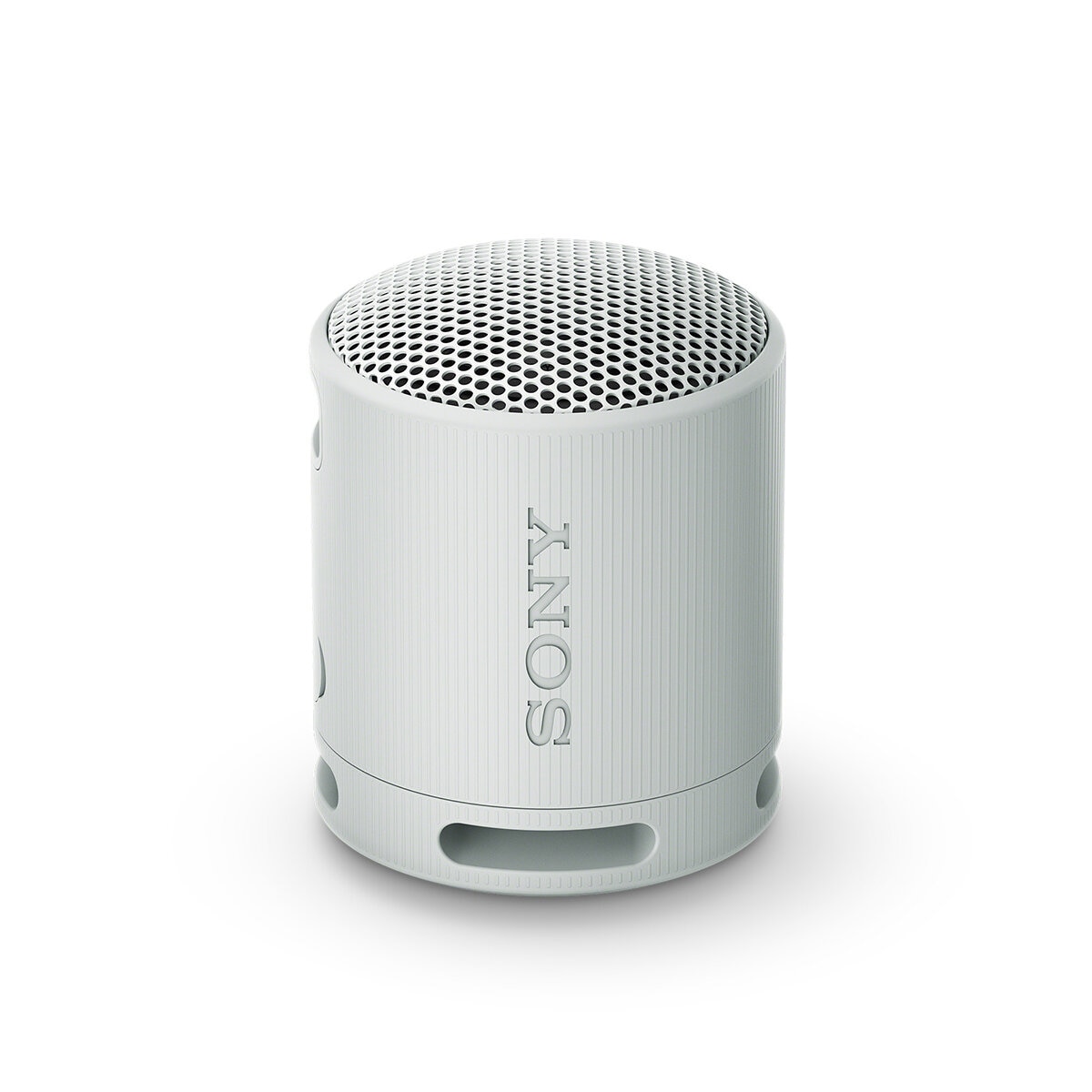 Sony SRS-XB100 Bocina Inalámbrica Portátil Gris