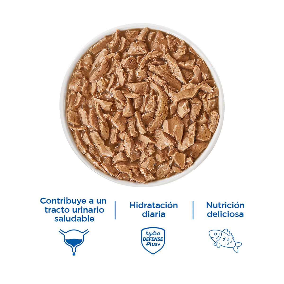 Cat Chow Alimento Húmedo para Gatos Sabor Pescado 24 pzas 85 g Cat Chow Alimento Húmedo para Gatos Sabor Pescado 24 pzas 85 g